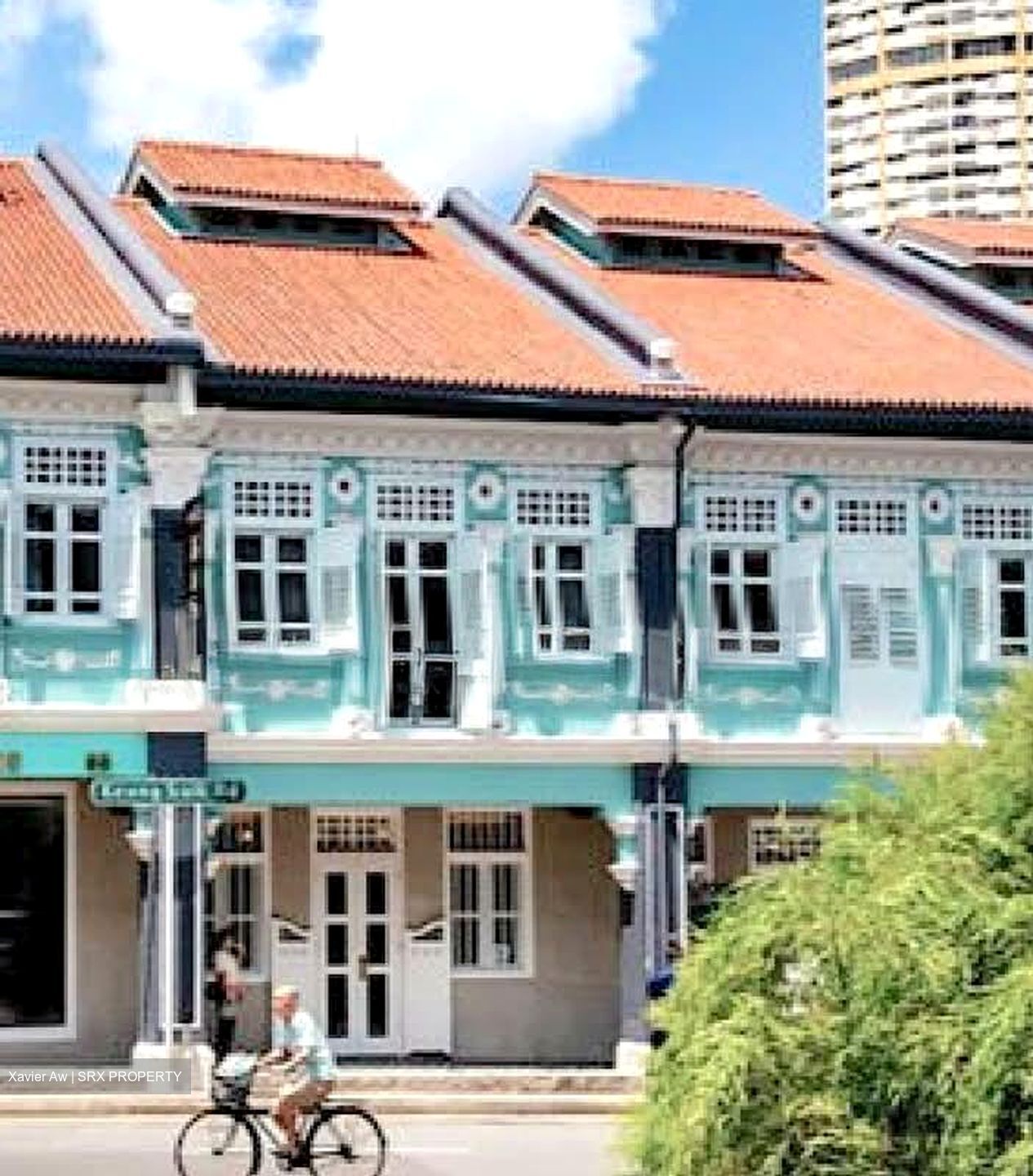 Keong Saik Road (D2), Shop House #558138871